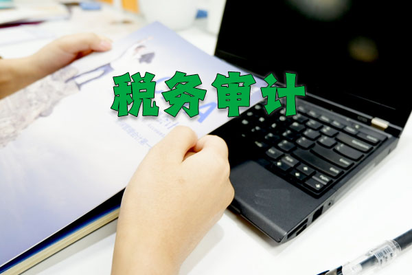 稅務(wù)審計示意圖.jpg
