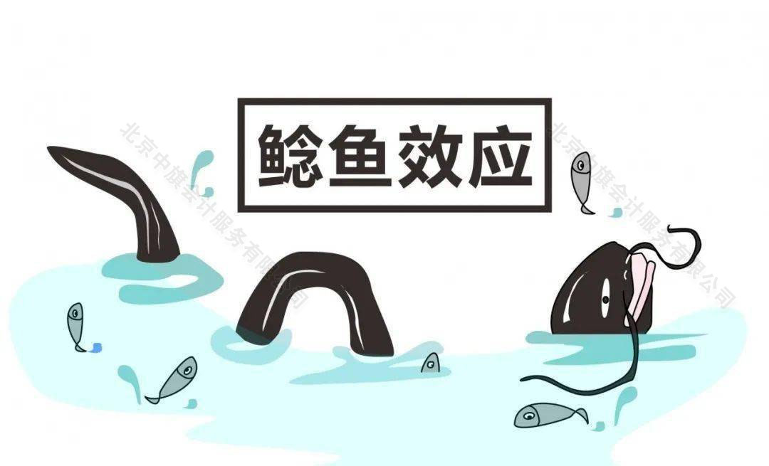 鯰魚效應.jpg