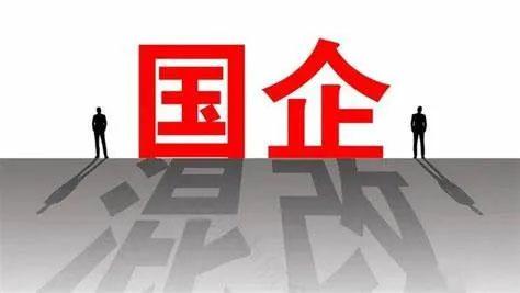國企示意圖.jpg