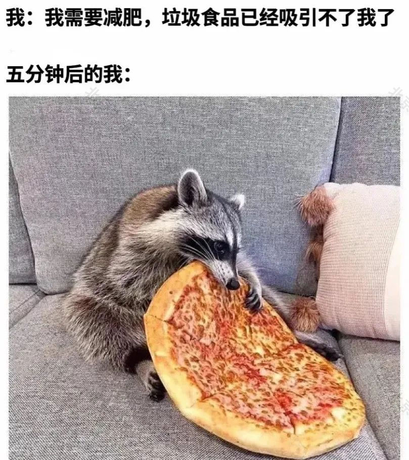 我要減肥，我要減肥，我要減肥啊.jpg