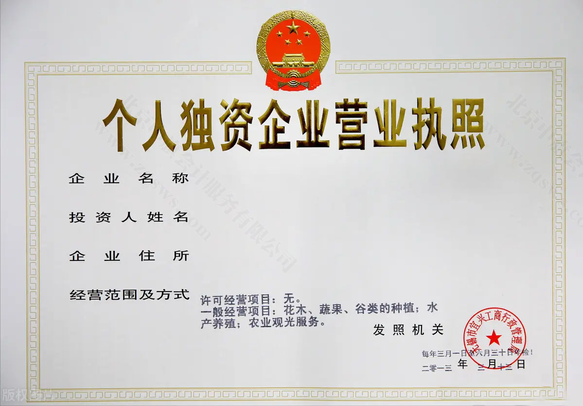 個人獨資企業(yè)營業(yè)執(zhí)照.jpg