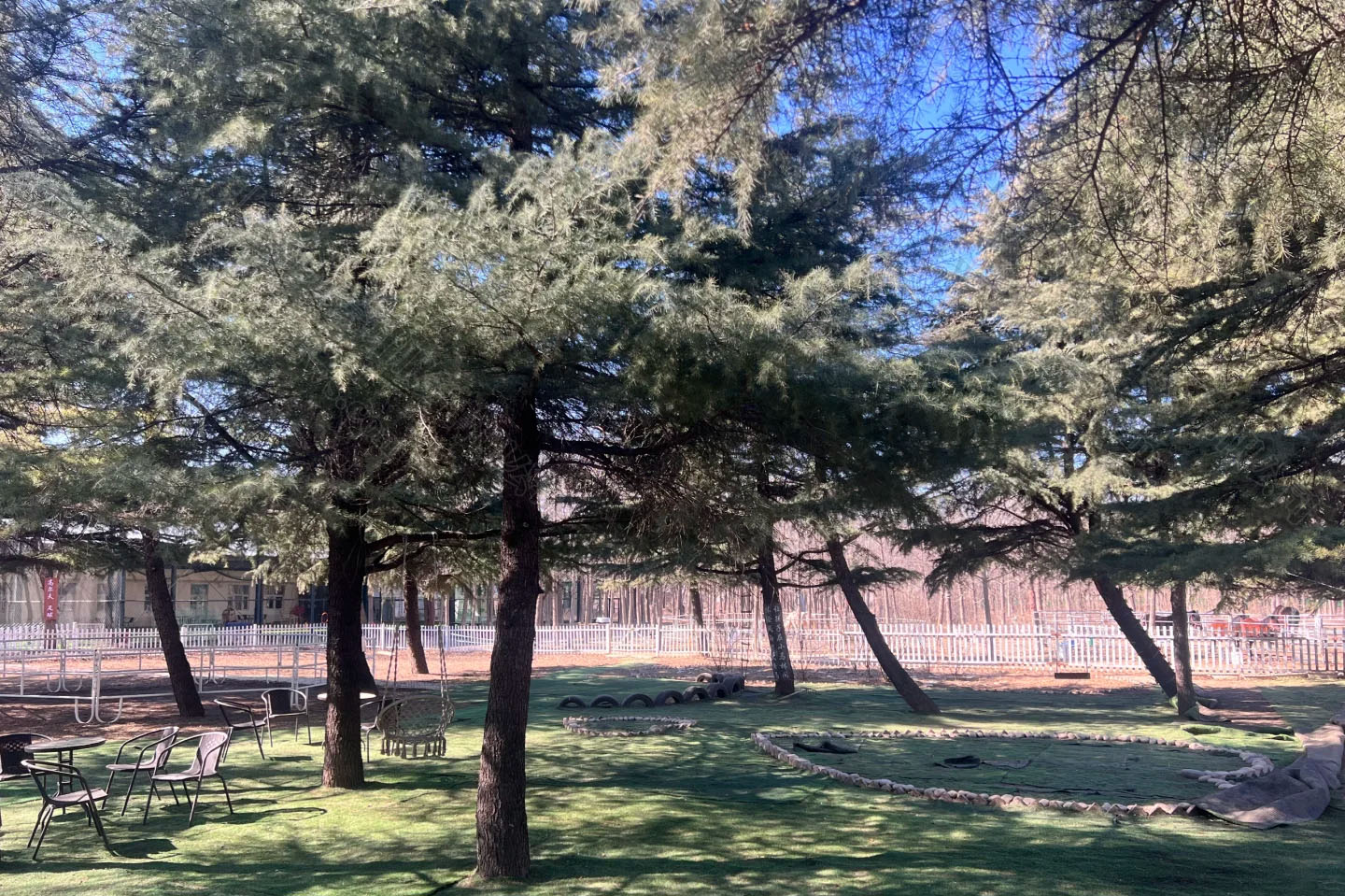 北京馬術(shù)館內(nèi)景，看著非常哇塞.jpg