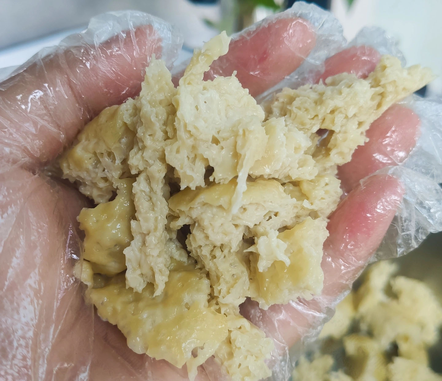 這個豆泡也是我自己做的.jpg 這個豆泡也是我自己做的.jpg