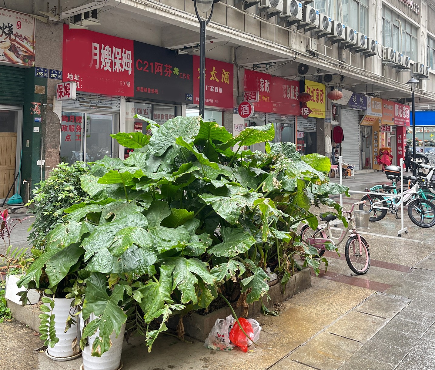 全是家政服務.jpg